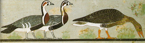 Painting of three geese, found in the tomb of Nefermaat at Meidum.