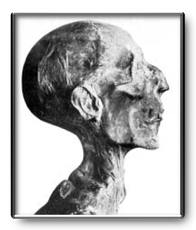 Profile of the mummy of Ramesses II