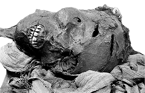 The mummy of Seqenenre shows that this king died a violent death, perhaps on the battlefield.