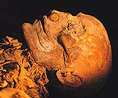 Is this the mummy of Hatshepsut?