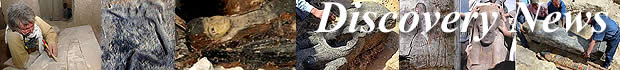 Discovery News